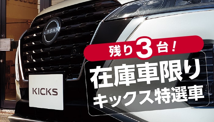 キックス ナビレコプレゼント