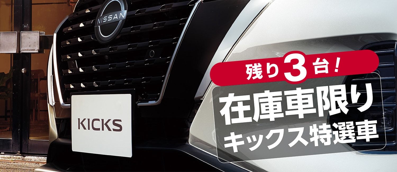 キックス ナビレコプレゼント